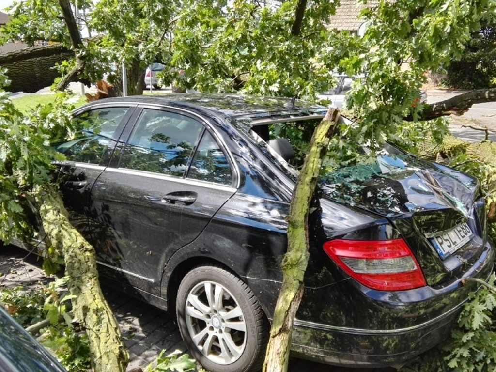 Burza wyrywała drzewa z korzeniami. Zniszczenia są ogromne