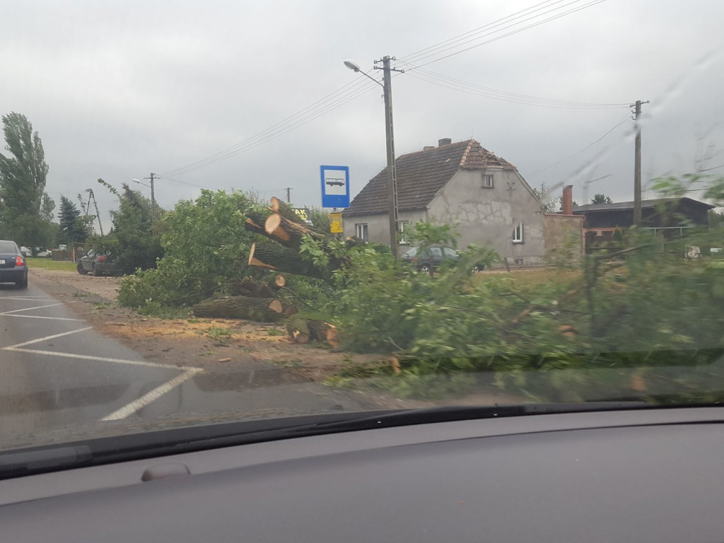 Burza wyrywała drzewa z korzeniami. Zniszczenia są ogromne
