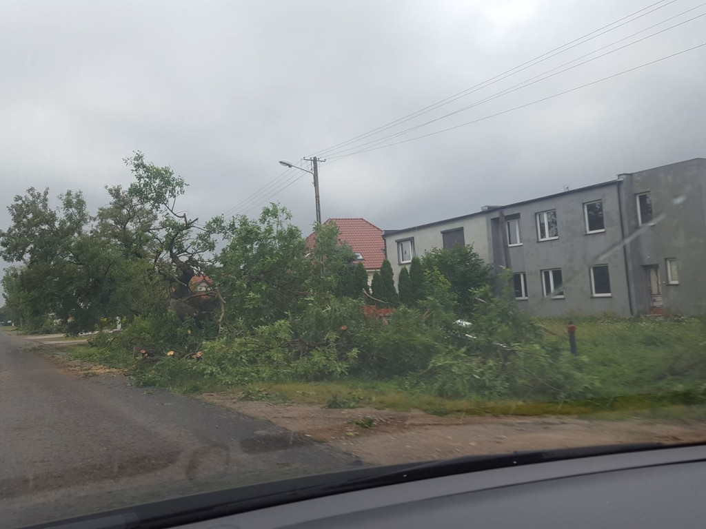 Burza wyrywała drzewa z korzeniami. Zniszczenia są ogromne