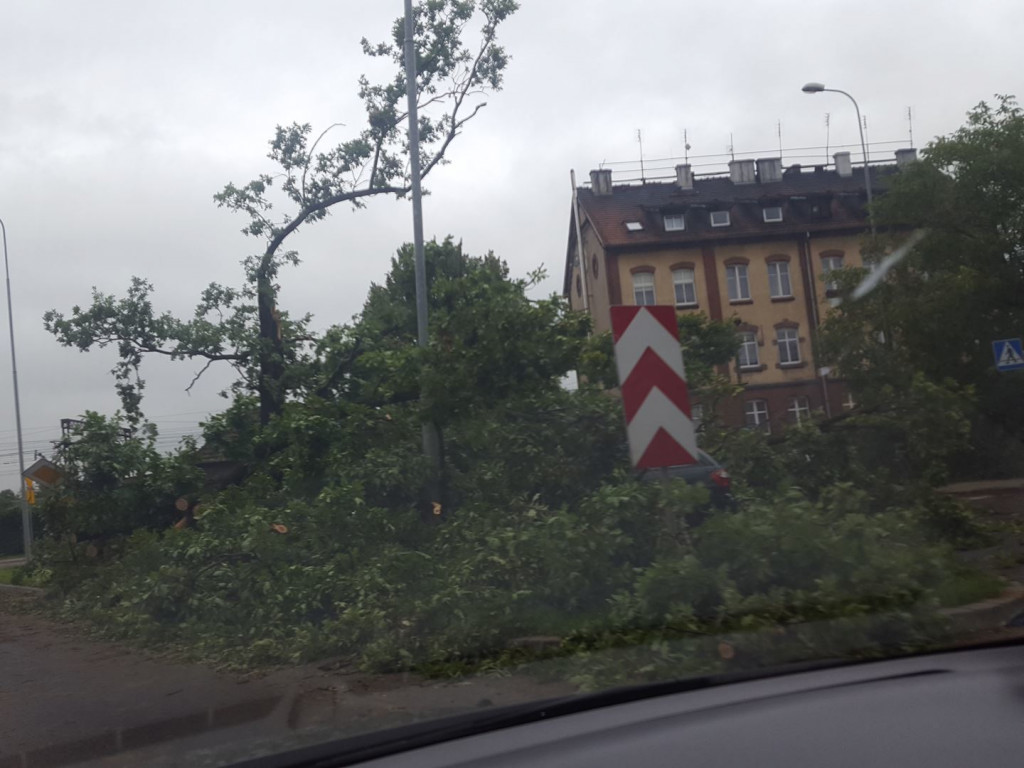 Burza wyrywała drzewa z korzeniami. Zniszczenia są ogromne