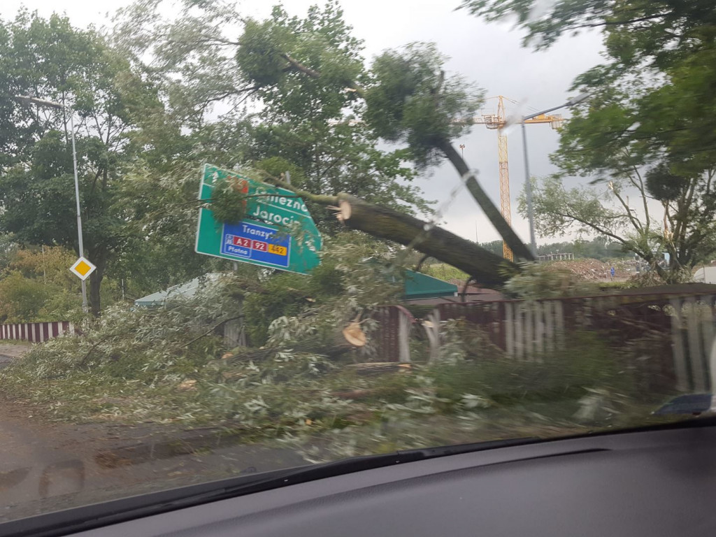 Burza wyrywała drzewa z korzeniami. Zniszczenia są ogromne