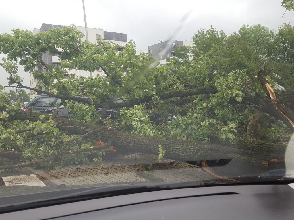 Burza wyrywała drzewa z korzeniami. Zniszczenia są ogromne