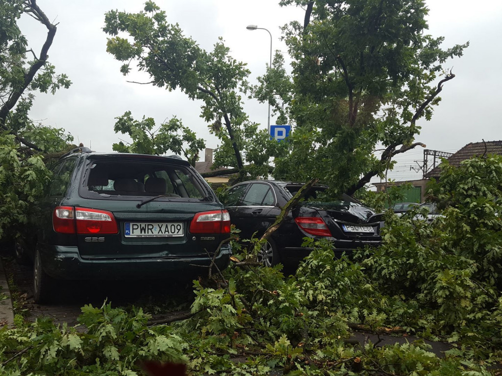 Burza wyrywała drzewa z korzeniami. Zniszczenia są ogromne