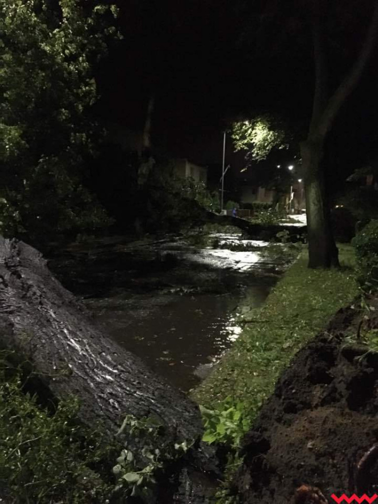 Burza wyrywała drzewa z korzeniami. Zniszczenia są ogromne