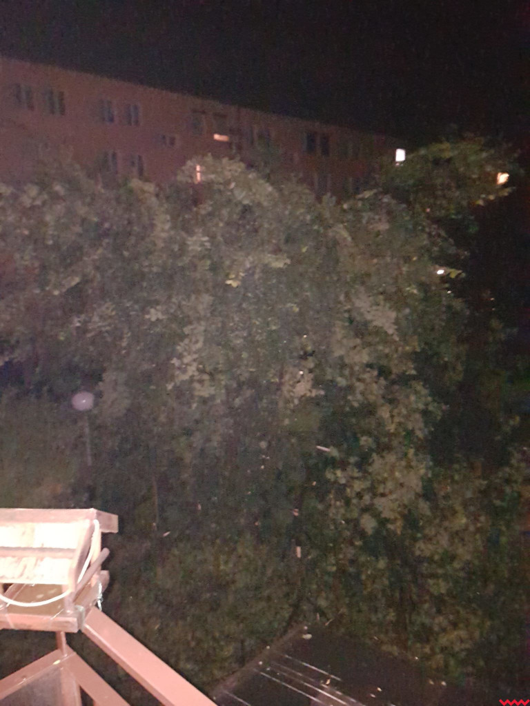 Burza wyrywała drzewa z korzeniami. Zniszczenia są ogromne