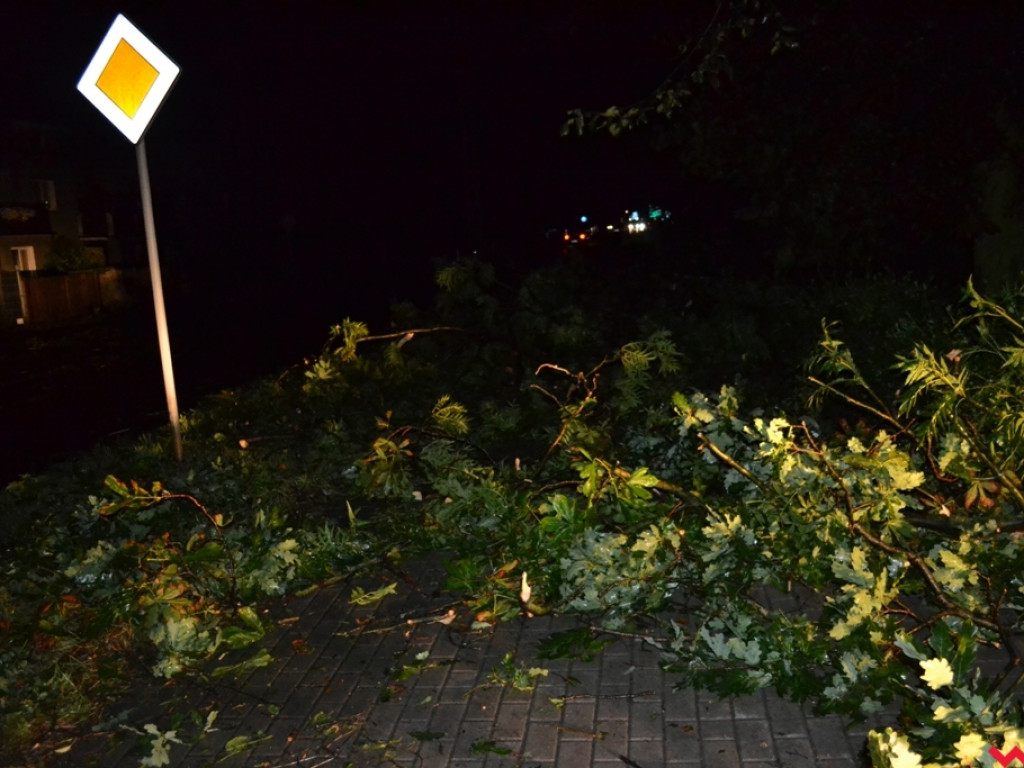 Burza wyrywała drzewa z korzeniami. Zniszczenia są ogromne