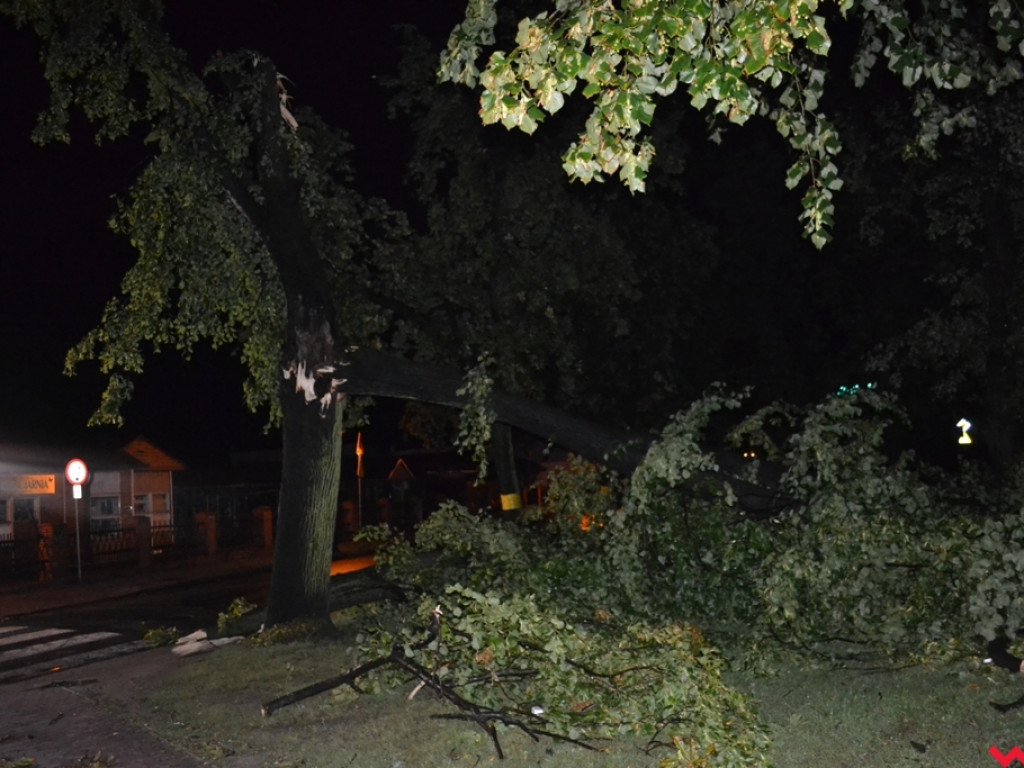 Burza wyrywała drzewa z korzeniami. Zniszczenia są ogromne