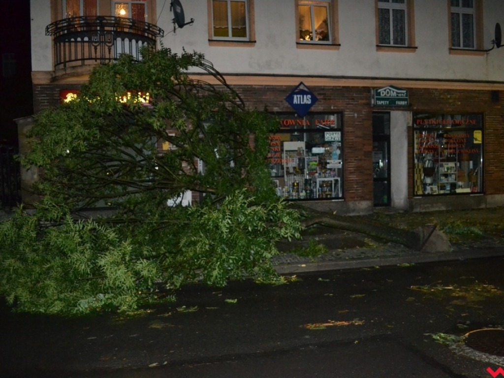 Burza wyrywała drzewa z korzeniami. Zniszczenia są ogromne