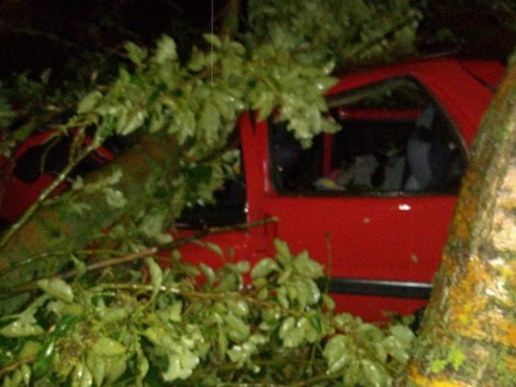Burza wyrywała drzewa z korzeniami. Zniszczenia są ogromne