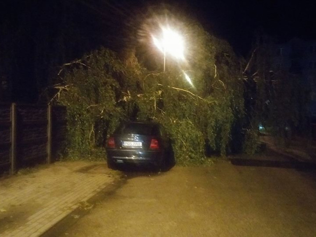 Burza wyrywała drzewa z korzeniami. Zniszczenia są ogromne