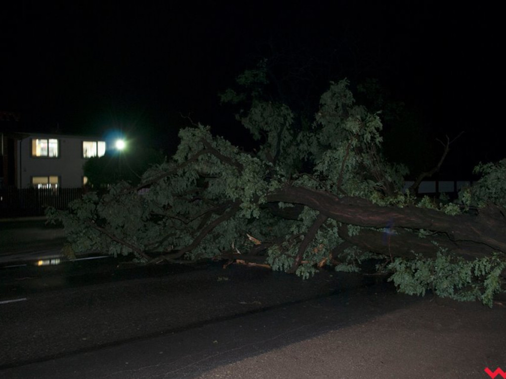 Burza wyrywała drzewa z korzeniami. Zniszczenia są ogromne