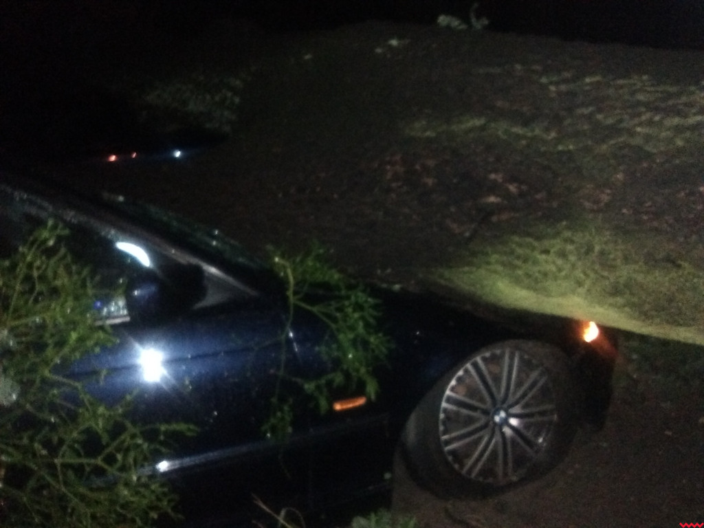 Burza wyrywała drzewa z korzeniami. Zniszczenia są ogromne