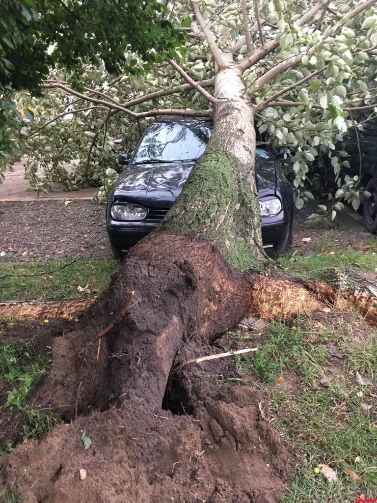 Burza wyrywała drzewa z korzeniami. Zniszczenia są ogromne