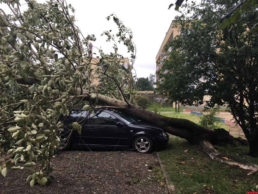Burza wyrywała drzewa z korzeniami. Zniszczenia są ogromne