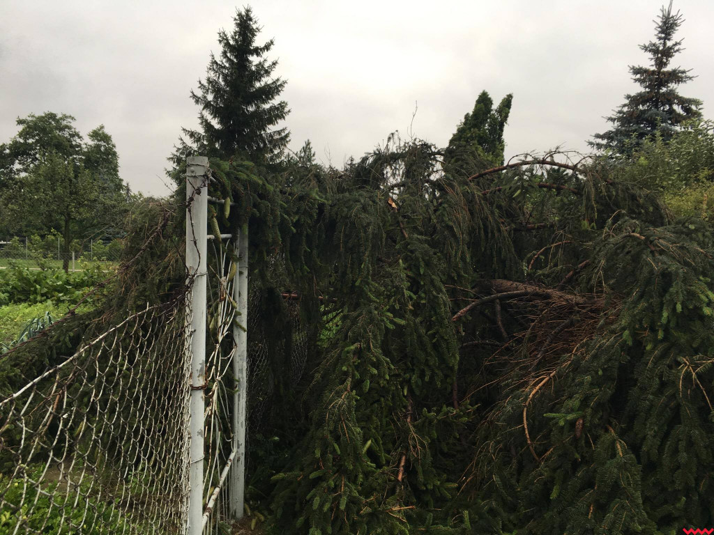 Burza wyrywała drzewa z korzeniami. Zniszczenia są ogromne