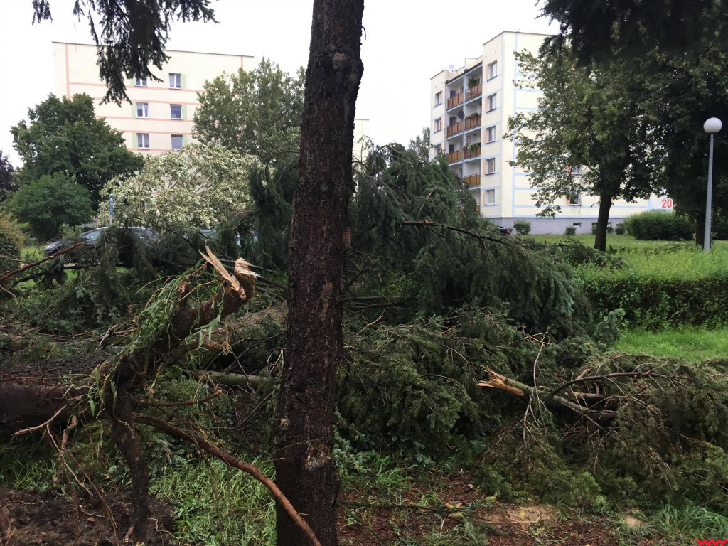Burza wyrywała drzewa z korzeniami. Zniszczenia są ogromne