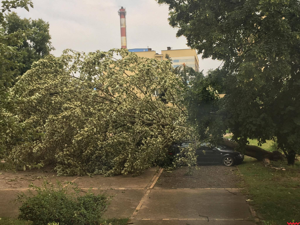 Burza wyrywała drzewa z korzeniami. Zniszczenia są ogromne