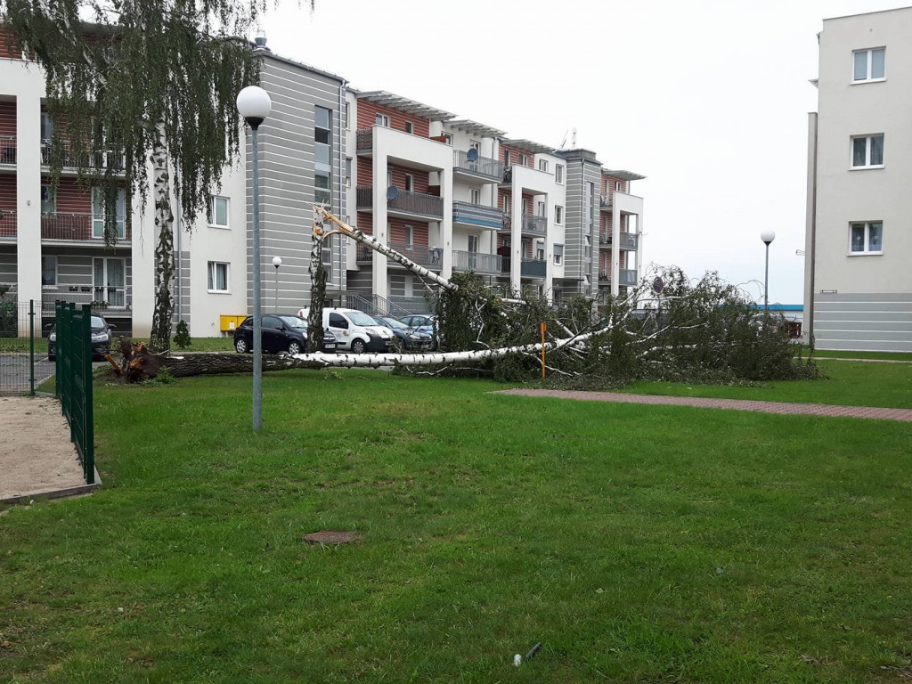 Burza wyrywała drzewa z korzeniami. Zniszczenia są ogromne