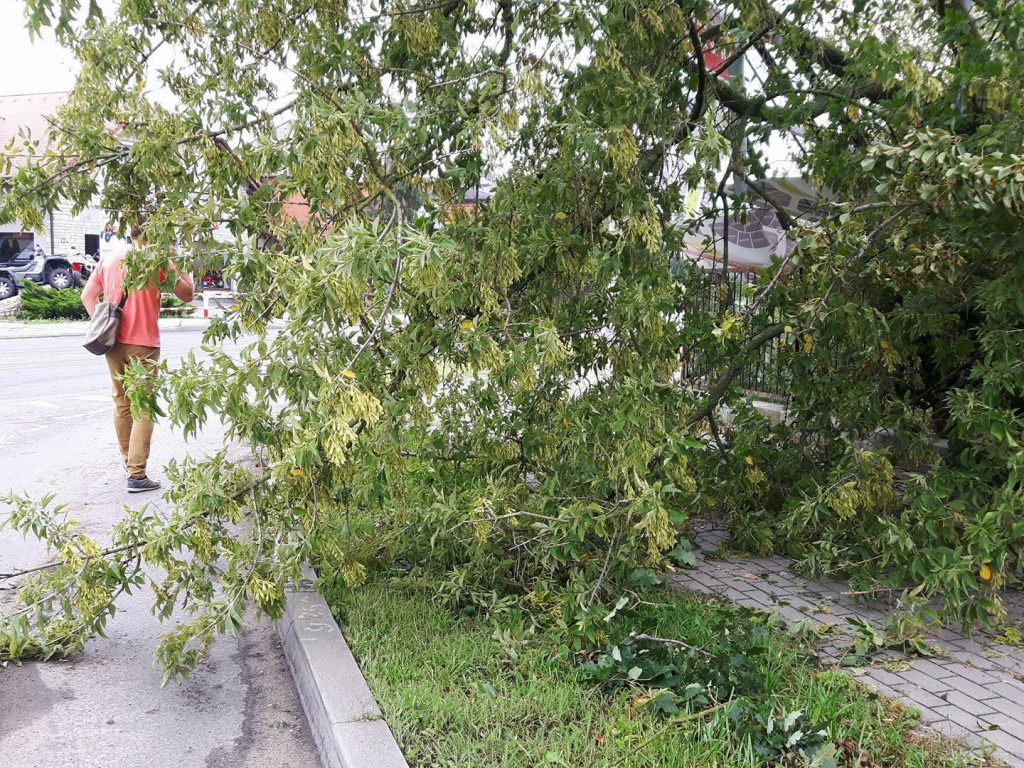 Burza wyrywała drzewa z korzeniami. Zniszczenia są ogromne