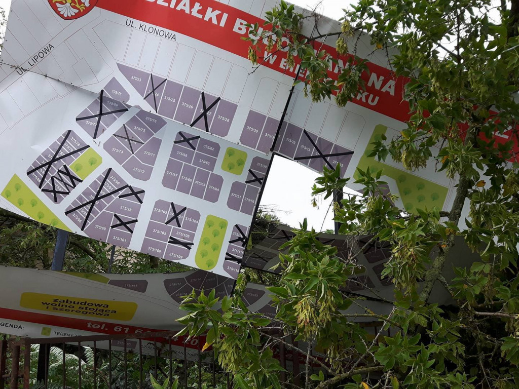 Burza wyrywała drzewa z korzeniami. Zniszczenia są ogromne