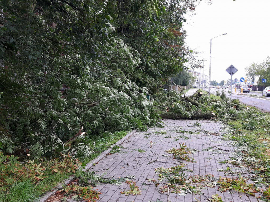 Burza wyrywała drzewa z korzeniami. Zniszczenia są ogromne