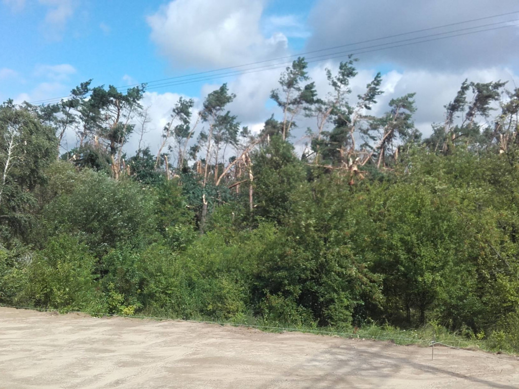 Burza wyrywała drzewa z korzeniami. Zniszczenia są ogromne