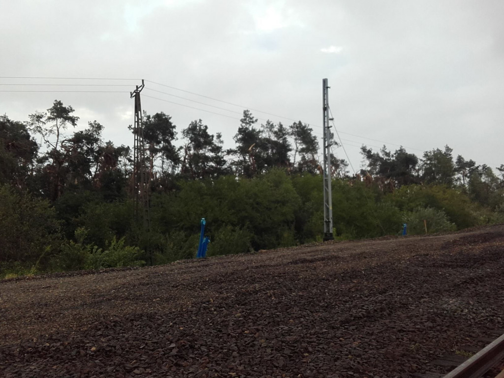 Burza wyrywała drzewa z korzeniami. Zniszczenia są ogromne