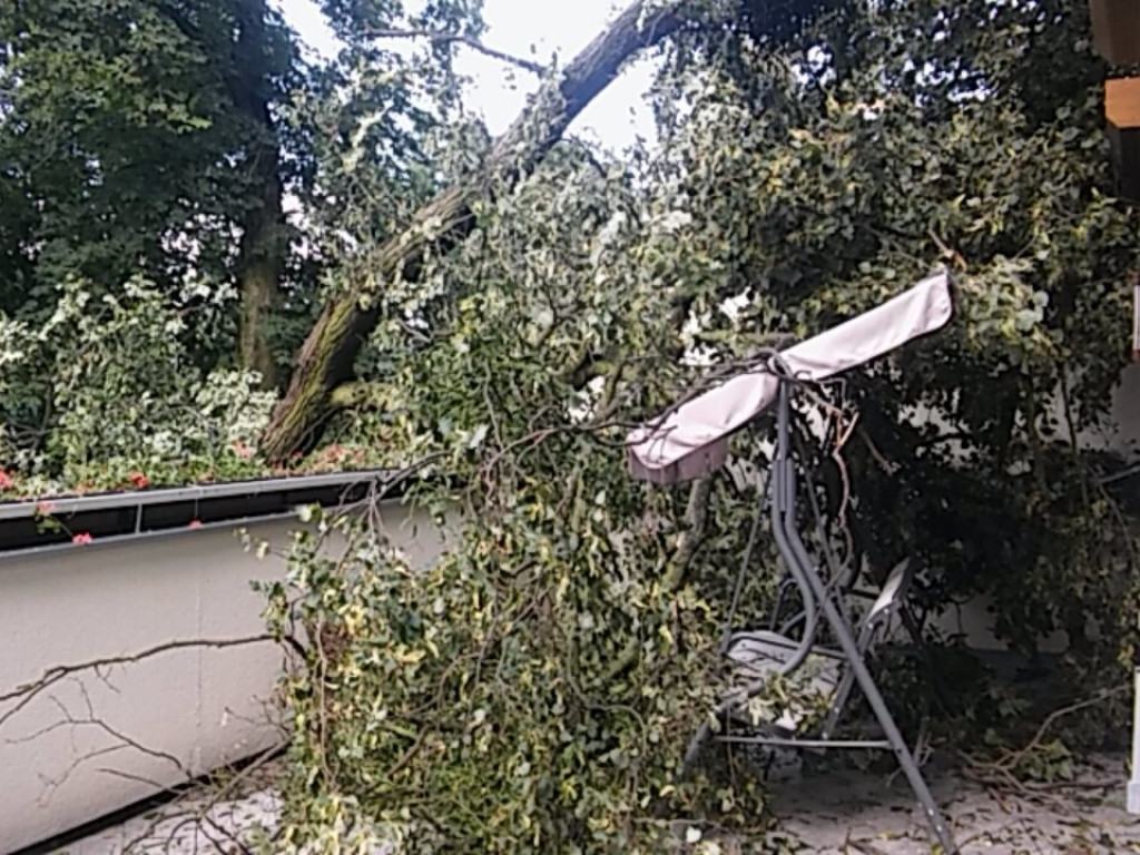 Burza wyrywała drzewa z korzeniami. Zniszczenia są ogromne