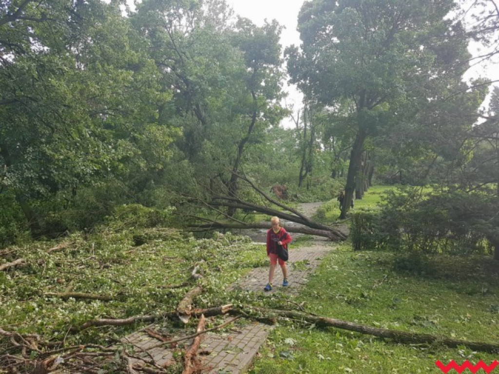 Burza wyrywała drzewa z korzeniami. Zniszczenia są ogromne