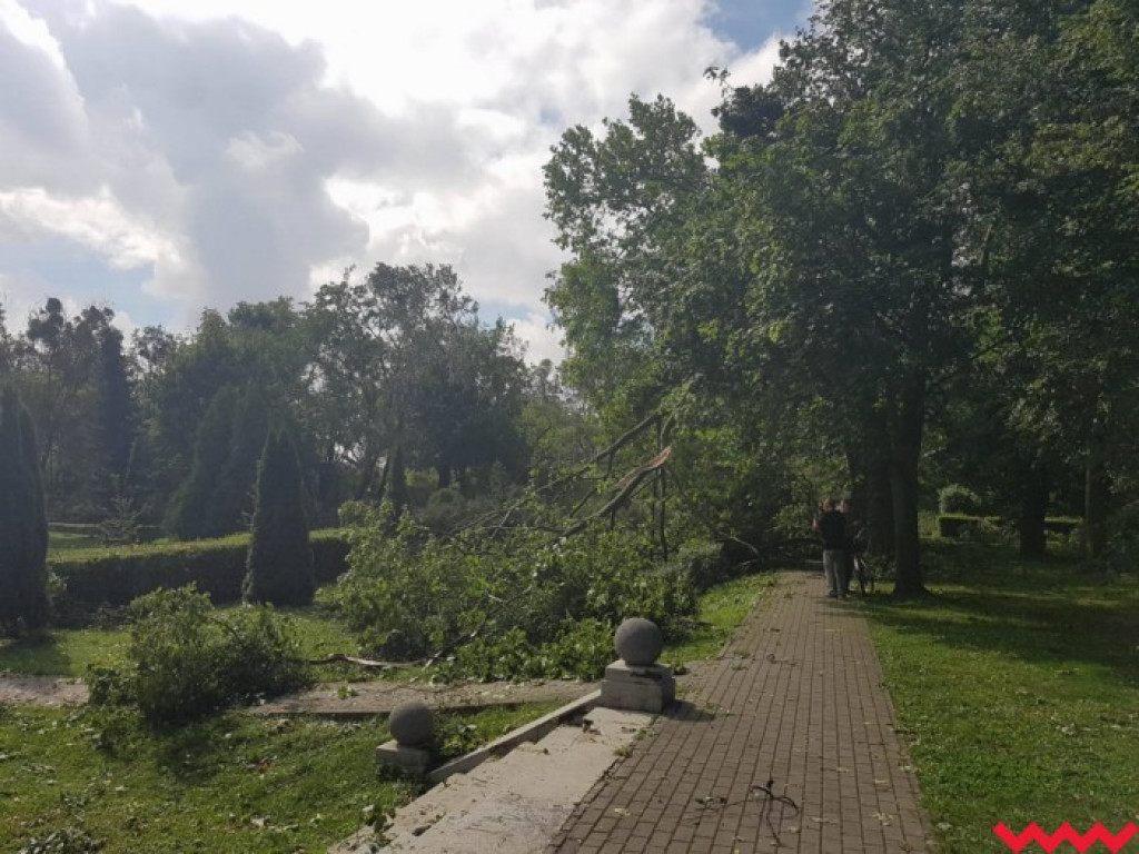 Burza wyrywała drzewa z korzeniami. Zniszczenia są ogromne