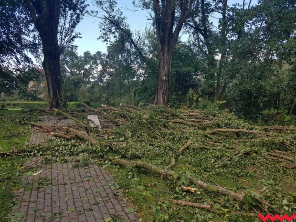 Burza wyrywała drzewa z korzeniami. Zniszczenia są ogromne