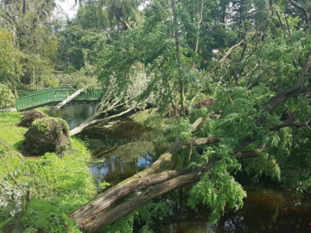 Burza wyrywała drzewa z korzeniami. Zniszczenia są ogromne