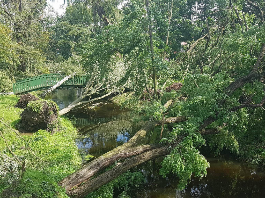 Burza wyrywała drzewa z korzeniami. Zniszczenia są ogromne