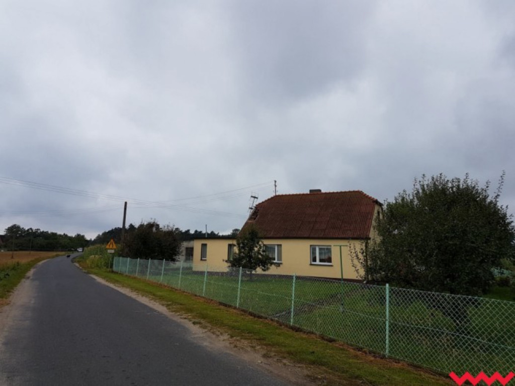 Burza wyrywała drzewa z korzeniami. Zniszczenia są ogromne