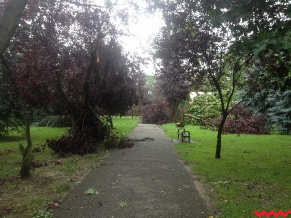 Burza wyrywała drzewa z korzeniami. Zniszczenia są ogromne