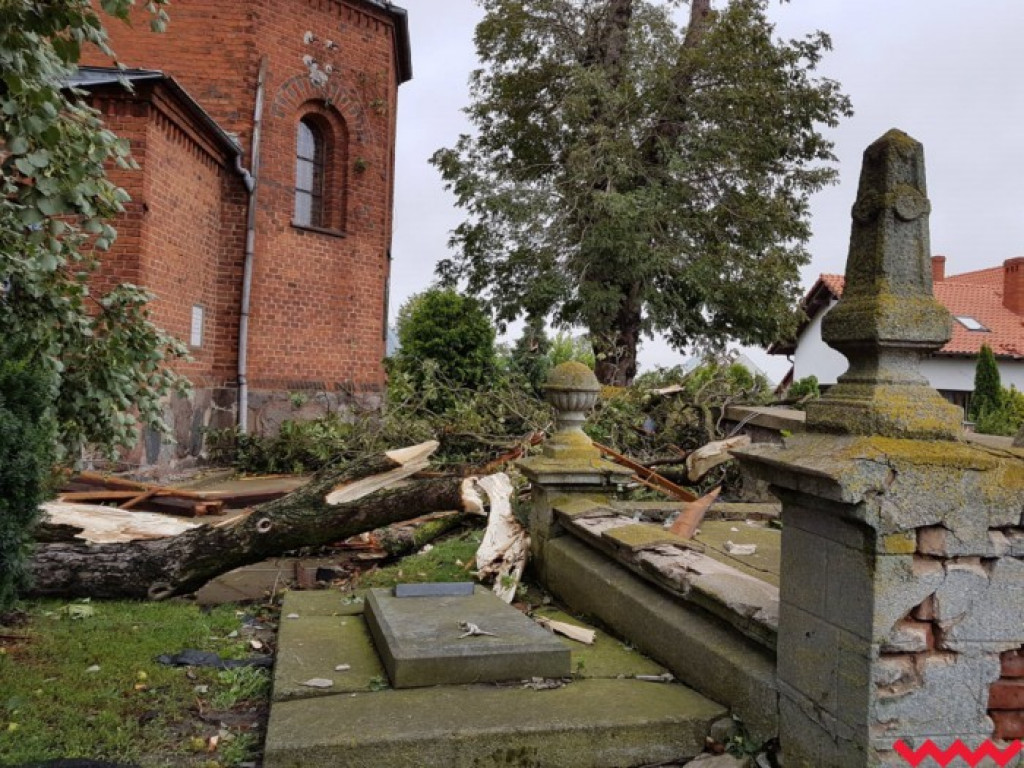 Burza wyrywała drzewa z korzeniami. Zniszczenia są ogromne