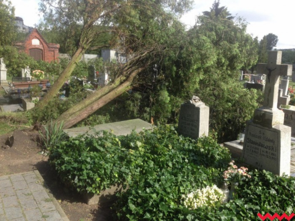 Burza wyrywała drzewa z korzeniami. Zniszczenia są ogromne