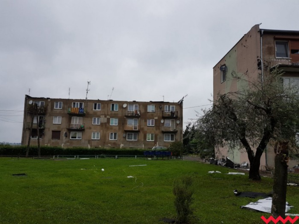 Burza wyrywała drzewa z korzeniami. Zniszczenia są ogromne