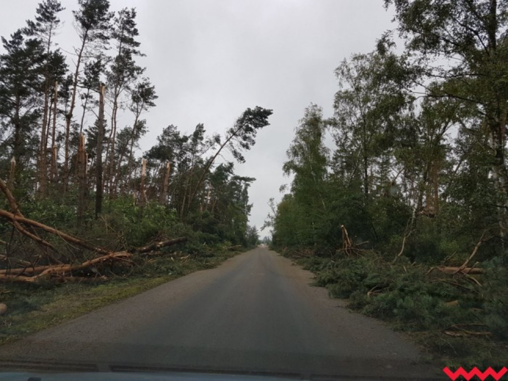 Burza wyrywała drzewa z korzeniami. Zniszczenia są ogromne