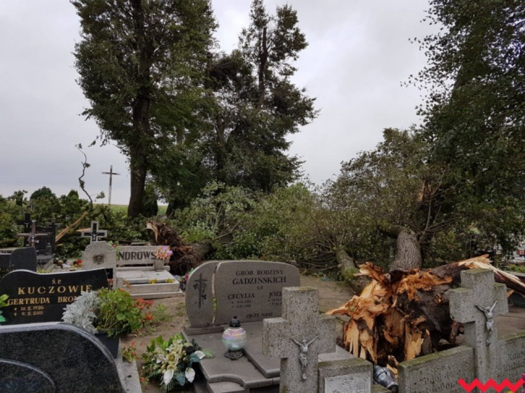 Burza wyrywała drzewa z korzeniami. Zniszczenia są ogromne