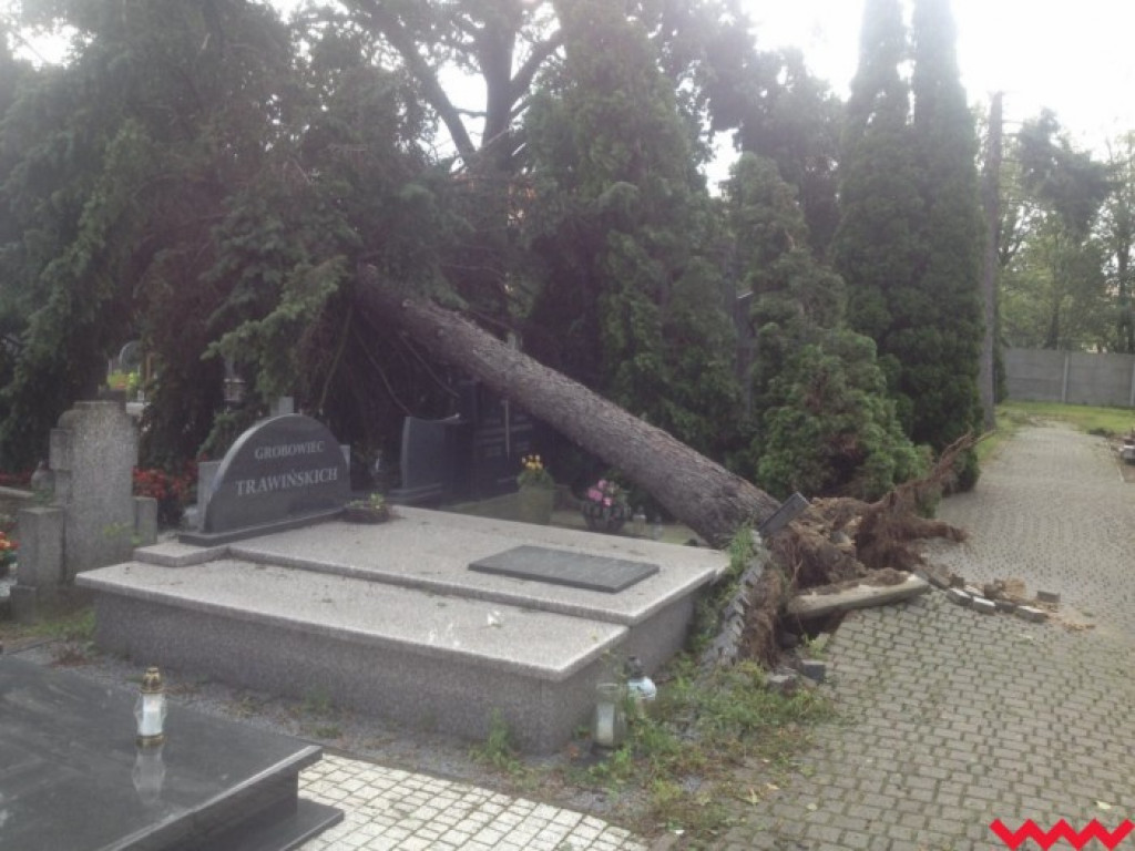 Burza wyrywała drzewa z korzeniami. Zniszczenia są ogromne