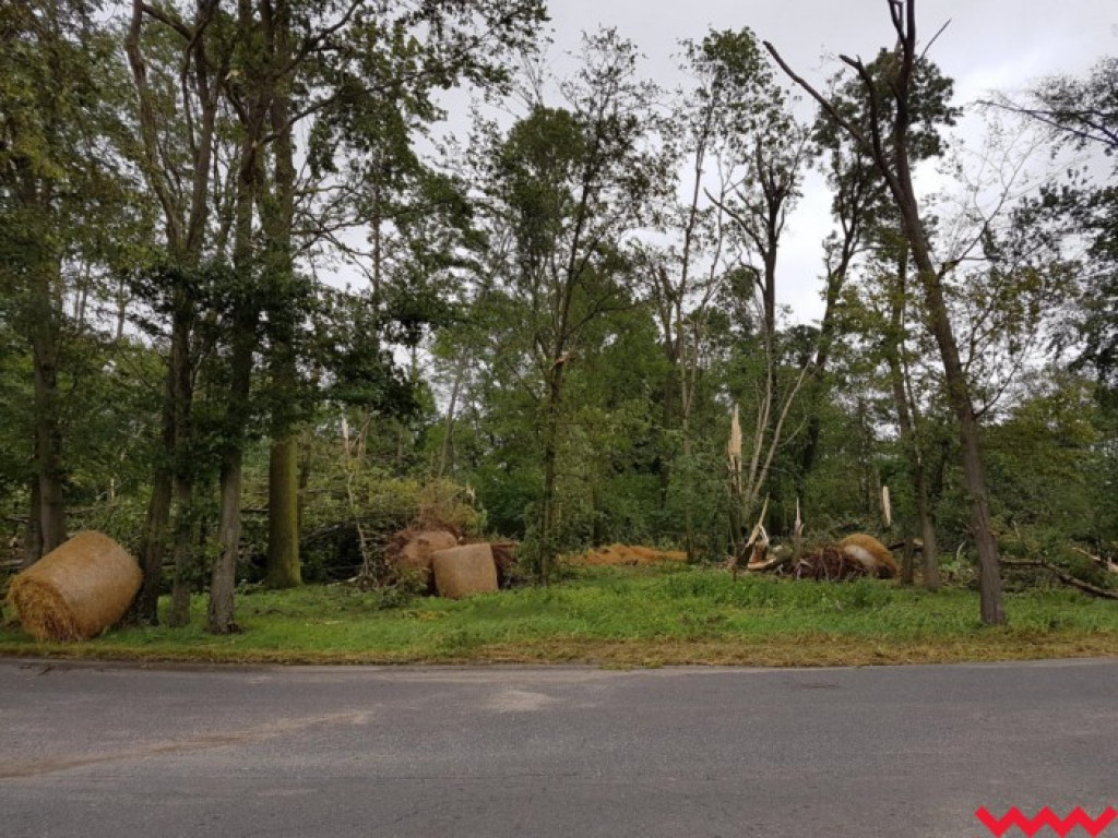 Burza wyrywała drzewa z korzeniami. Zniszczenia są ogromne
