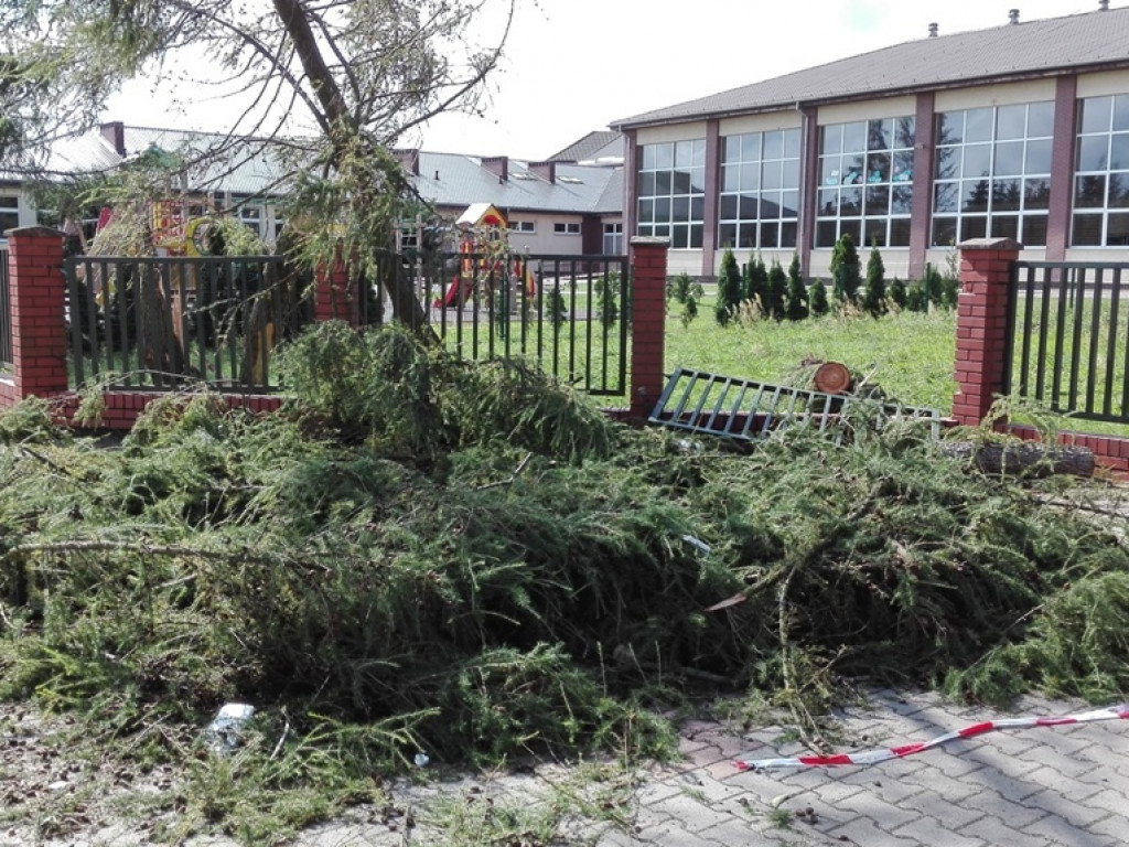 Burza wyrywała drzewa z korzeniami. Zniszczenia są ogromne