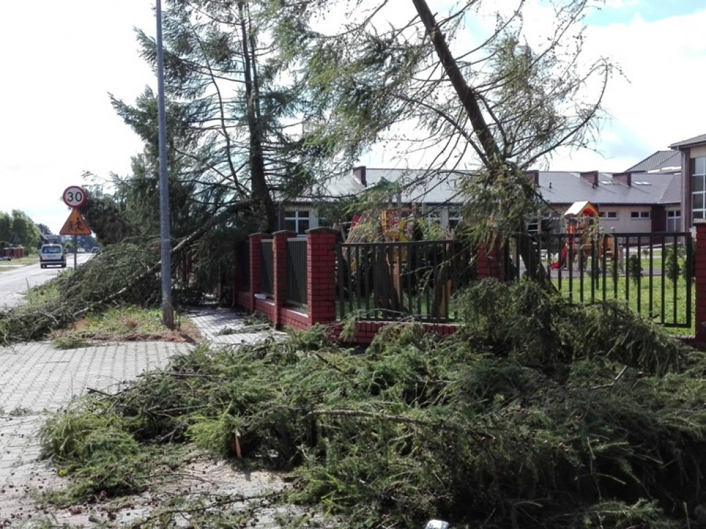 Burza wyrywała drzewa z korzeniami. Zniszczenia są ogromne