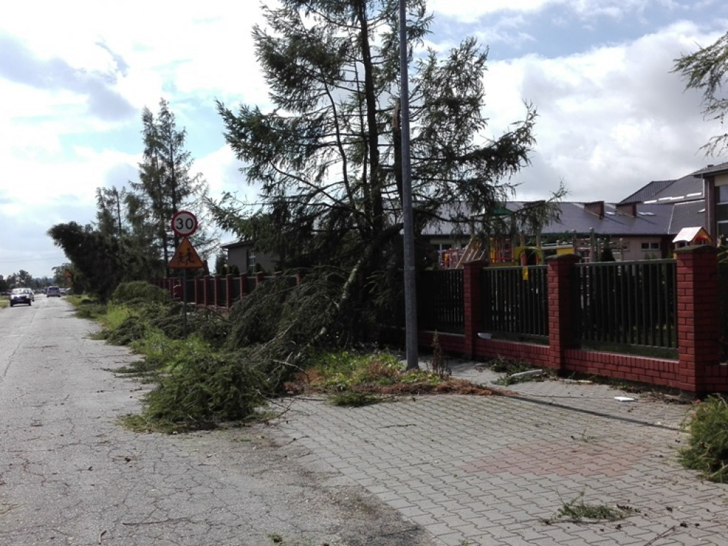Burza wyrywała drzewa z korzeniami. Zniszczenia są ogromne
