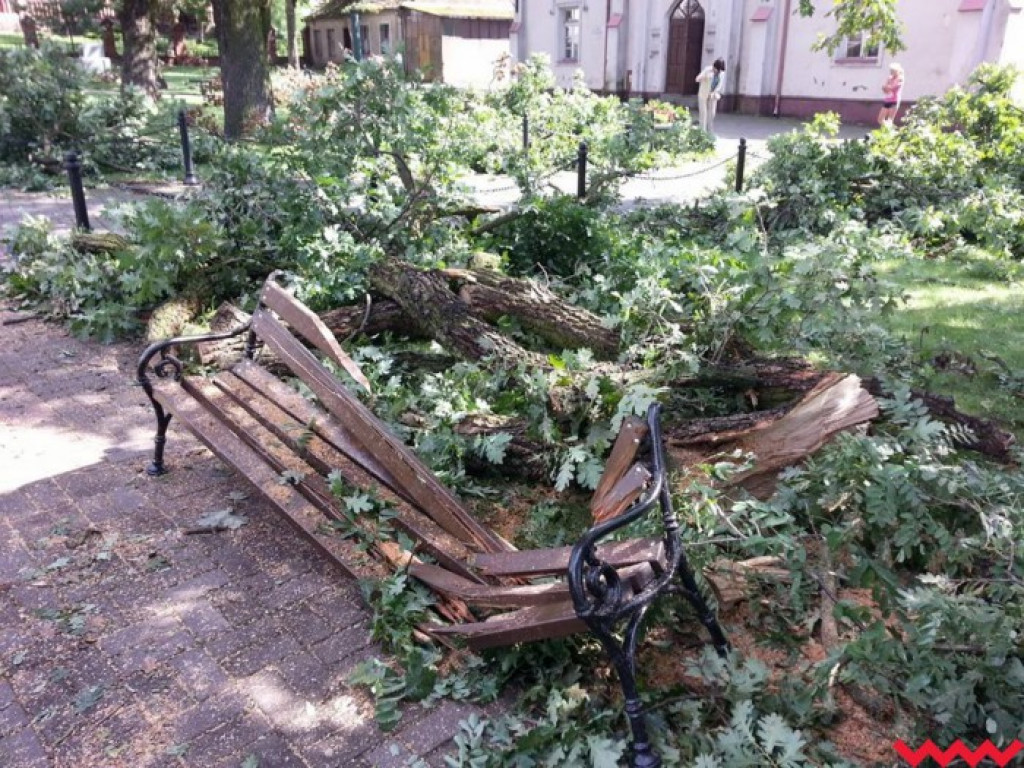 Zerwane dachy, powalone drzewa. Strażacy mają pełne ręce roboty