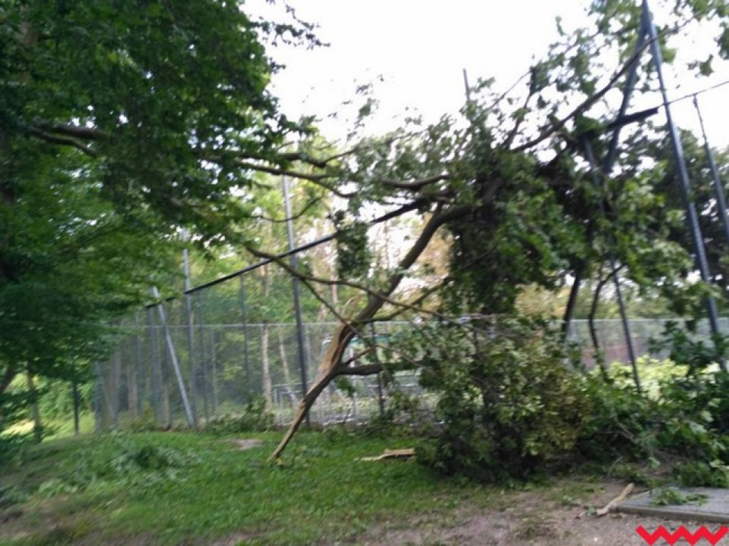 Zerwane dachy, powalone drzewa. Strażacy mają pełne ręce roboty