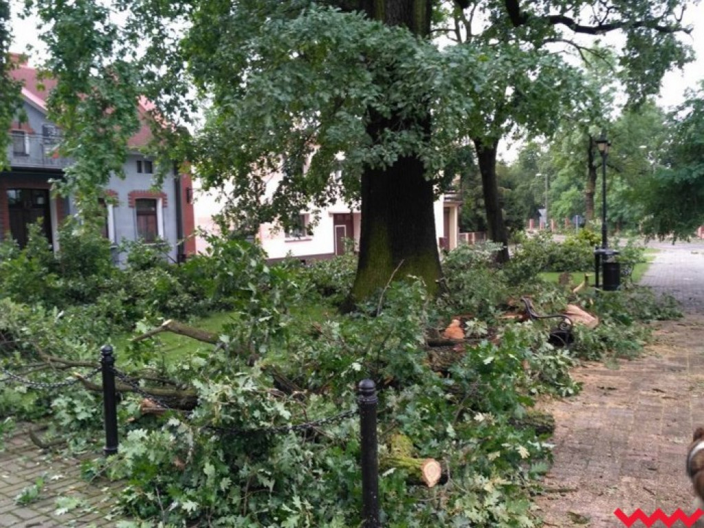 Zerwane dachy, powalone drzewa. Strażacy mają pełne ręce roboty