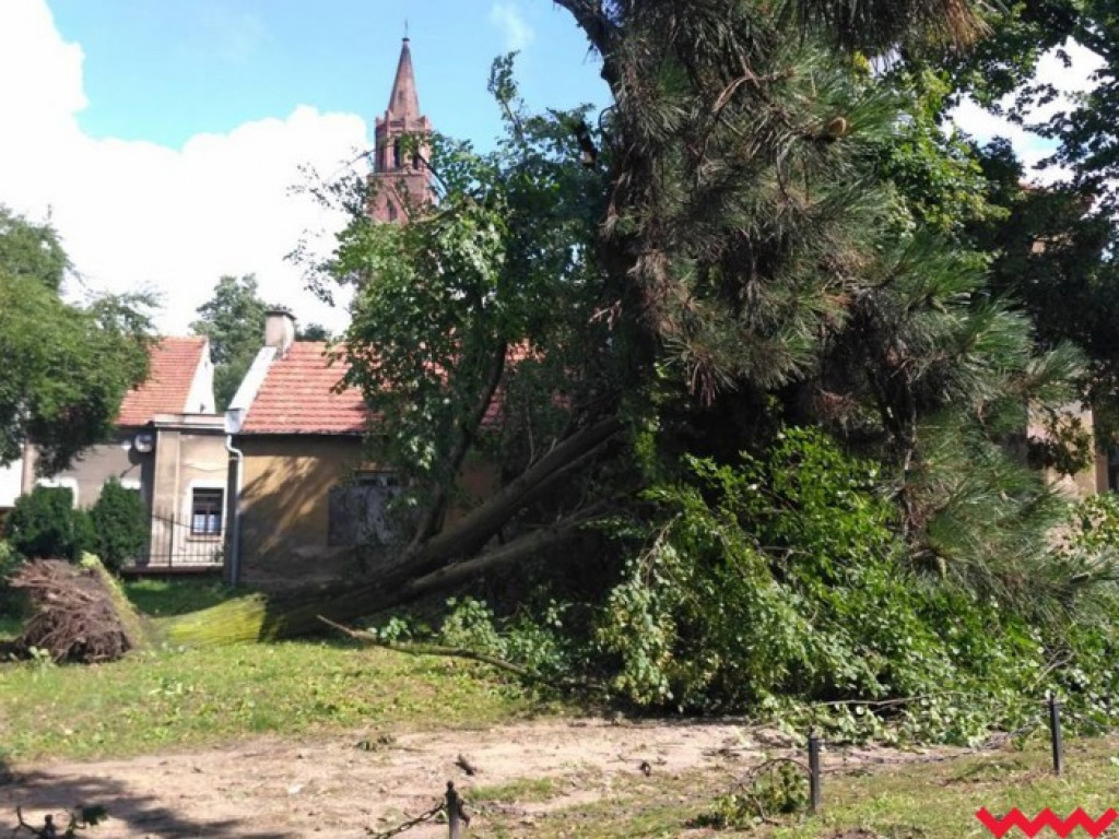 Zerwane dachy, powalone drzewa. Strażacy mają pełne ręce roboty