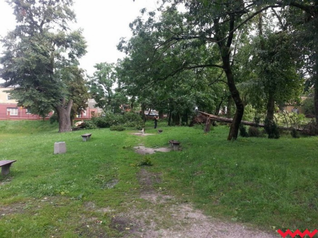 Zerwane dachy, powalone drzewa. Strażacy mają pełne ręce roboty